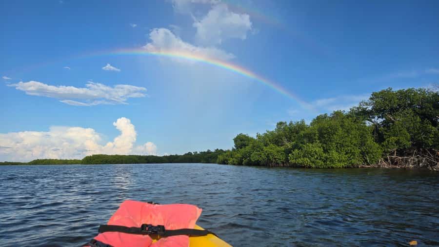 Key West: Mangrove Kayak or SUP Eco Tour - Getting there: hotel pickup, the van, and Geiger Key start