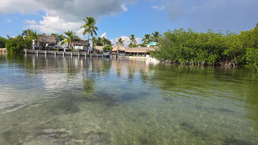 Key West: Mangrove Kayak or SUP Eco Tour - On-water route: what the mangroves actually give you