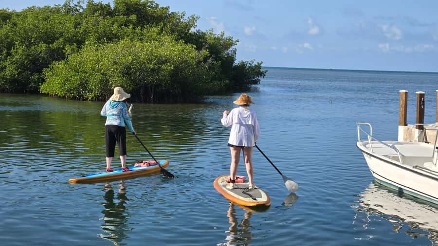 Key West: Mangrove Kayak or SUP Eco Tour - Who should book this eco tour (and who might not)