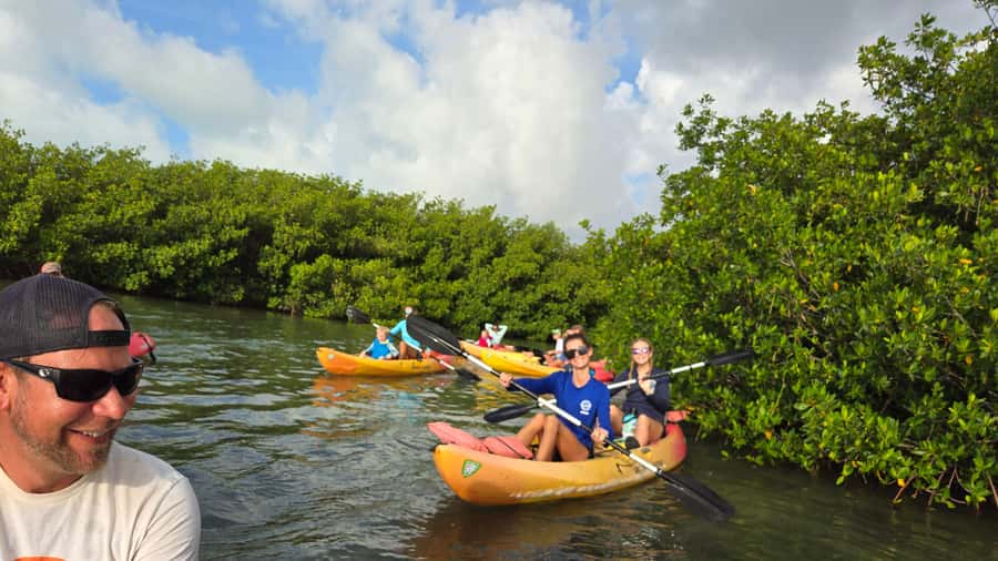 Key West: Mangrove Kayak or SUP Eco Tour - Should you book the Key West Mangrove Kayak or SUP Eco Tour?