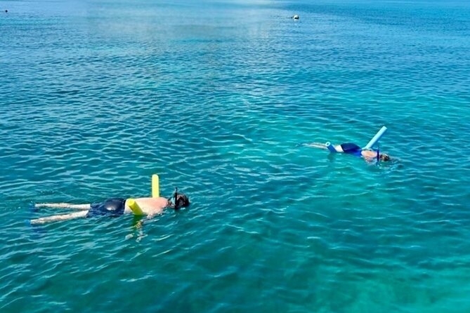 Key West Private 6-Person Sandbar & Snorkeling Charter - Sandbar time and snorkeling reefs: what the day feels like out there