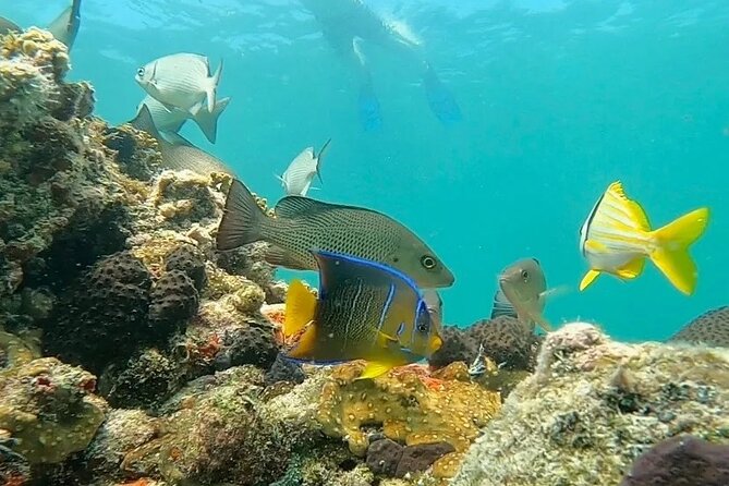 Key West Private Charter: Sandbar and Snorkeling - Private Boat Time: Why This Feels Better Than Big-Group Water Tours