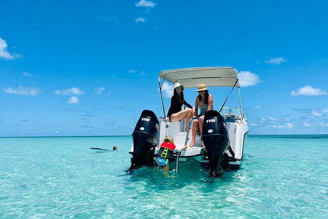 Key West Private Charter: Sandbar and Snorkeling - Real Wildlife Learning: Captains Who Explain What You’re Seeing