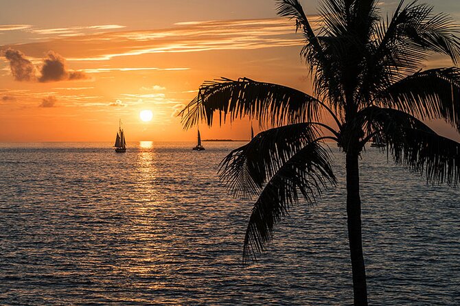 Key West: Private Sunset Cruise on an Authentic Tiki Bar Boat - From 1600 Blk Palm Ave to Key West Harbor: How boarding works