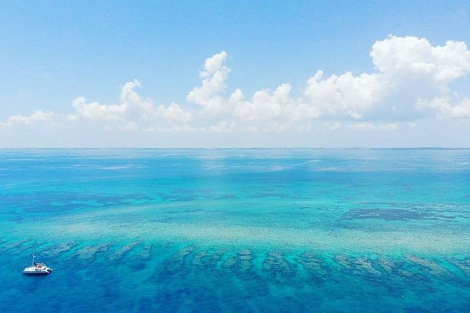 Key West Reef Morning Snorkeling with Breakfast and Mimosas - The Reef Experience: Marine Life You Can Actually Spot