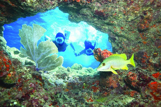 Key West Reef Snorkel – Morning Mimosas or Afternoon Margaritas - Key points I’d remember