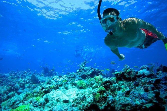 Key West Reef Snorkel – Morning Mimosas or Afternoon Margaritas - Where you’ll snorkel: Sand Key, Rock Key, and the reef choices