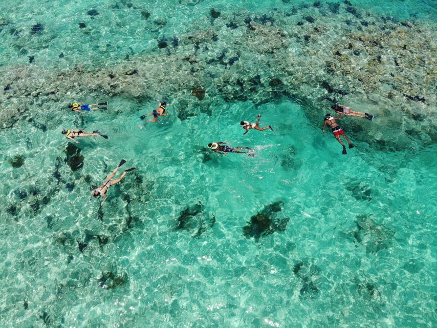 Key West: Reef Snorkel Morning Tour with Breakfast & Mimosas - Return to Port: Draft Beer, Final Views, and a Smooth Finish