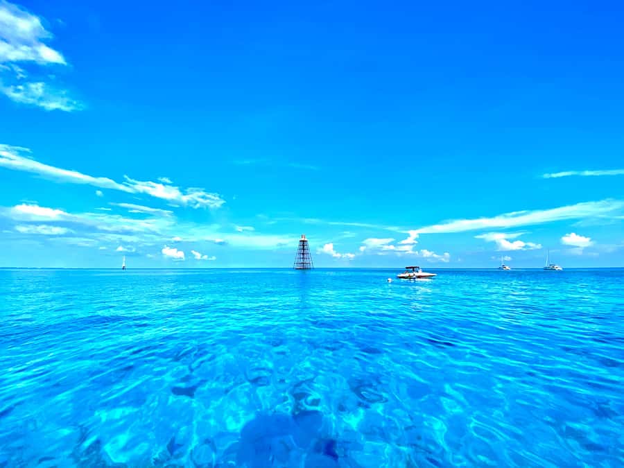 Key West: Reef Snorkel Morning Tour with Breakfast & Mimosas - Meeting Point and Getting Ready Without Stress
