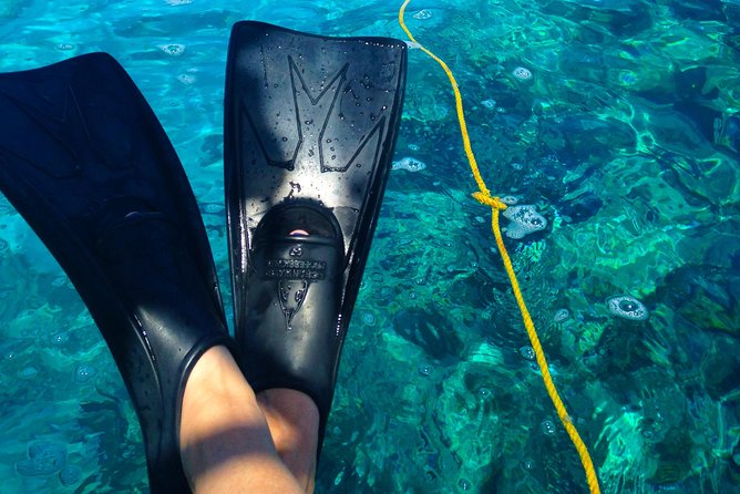 Key West Reef Snorkel & Sail Adventure - Snorkel Gear, Sanitized Masks, and Real Help for First-Timers