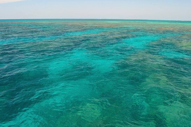 Key West Reef Snorkel & Sail Adventure - Who This Snorkel & Sail Tour Is Best For