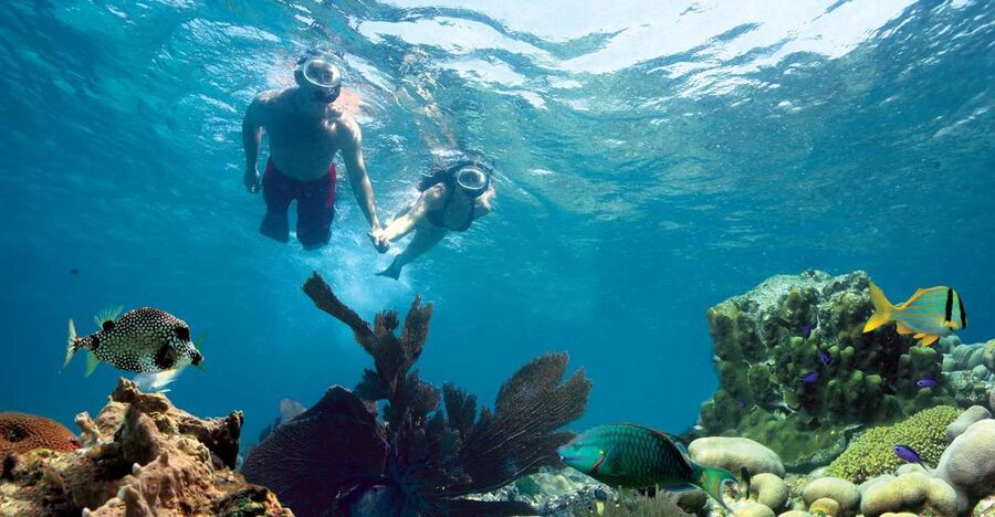 Key West: Reef Snorkeling with Drinks and Sunset Option - Key highlights I’d plan around