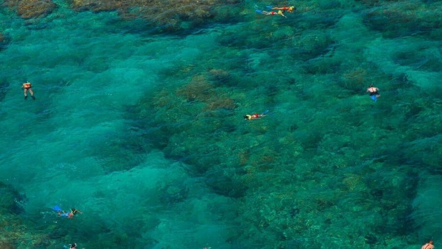Key West: Reef Snorkeling with Drinks and Sunset Option - From Opal Key Marina to open water: what the start feels like