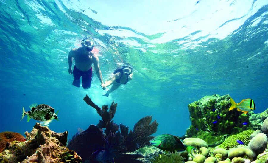 Key West: Reef Snorkeling with Drinks and Sunset Option - How the 3 hours really play out (and where you’ll feel the time)