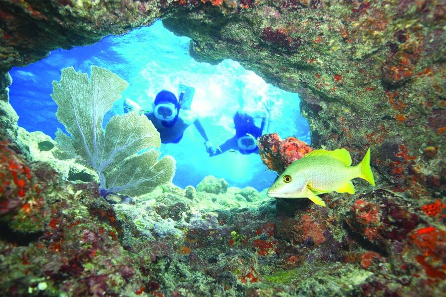 Key West: Reef Snorkeling with Drinks and Sunset Option - Boat comfort and crowd reality: what to expect day to day