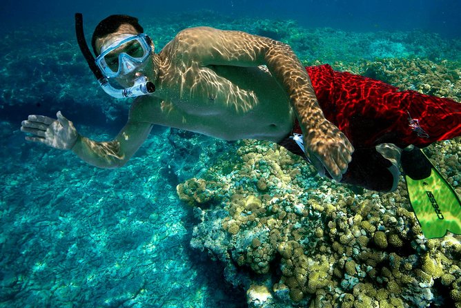 Key West Rum and Reggae: Reef Snorkel Adventure and Sunset Sail - Snorkel time on North America’s only living coral reef