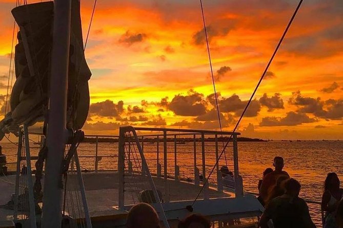 Key West Rum and Reggae: Reef Snorkel Adventure and Sunset Sail - What you’ll see underwater (and what to expect from Key West reefs)