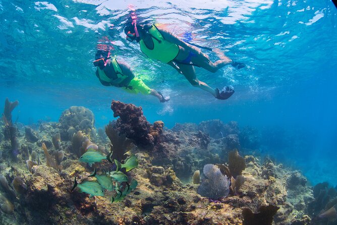 Key West Rum and Reggae: Reef Snorkel Adventure and Sunset Sail - Back on deck: rum punch, reggae, and sunset sail comfort