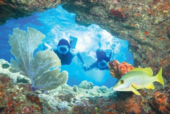 Key West Rum and Reggae: Reef Snorkel Adventure and Sunset Sail - Timing that works: why 3 hours is the sweet spot