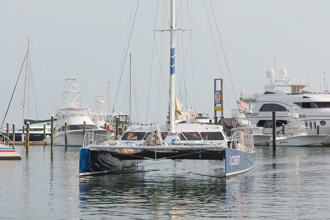 Key West's Favorite Afternoon Dolphin Sail - The Crew Makes or Breaks the Dolphin Hunt