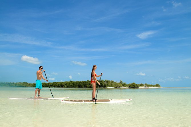 Key West's Island Adventure Sandbar Tour with Kayaking - Wildlife and Water Conditions: The Real-World Expectations