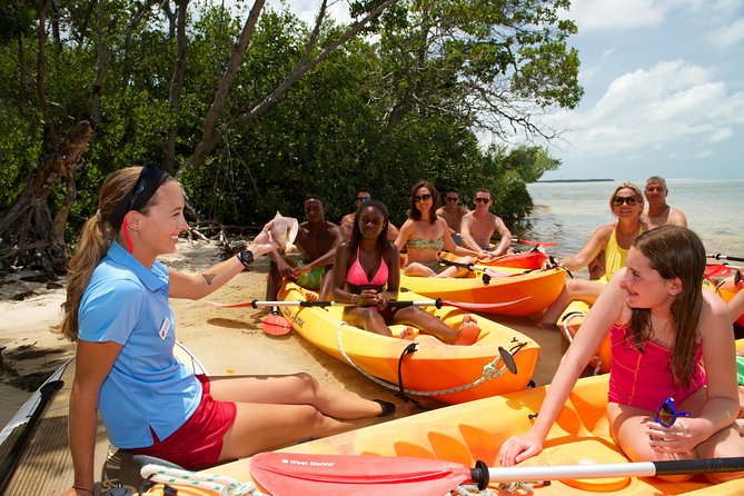Key West's Island Adventure Sandbar Tour with Kayaking - Sunset Option: When the Drinks Matter and the Timing Shifts