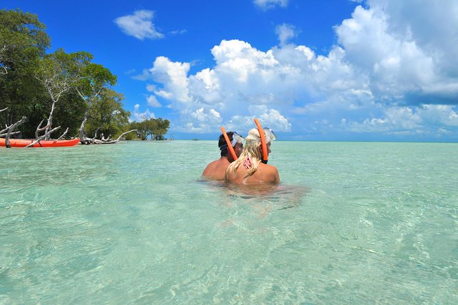 Key West's Island Adventure Sandbar Tour with Kayaking - The Catamaran Ride Through Mangroves and Key West Backcountry