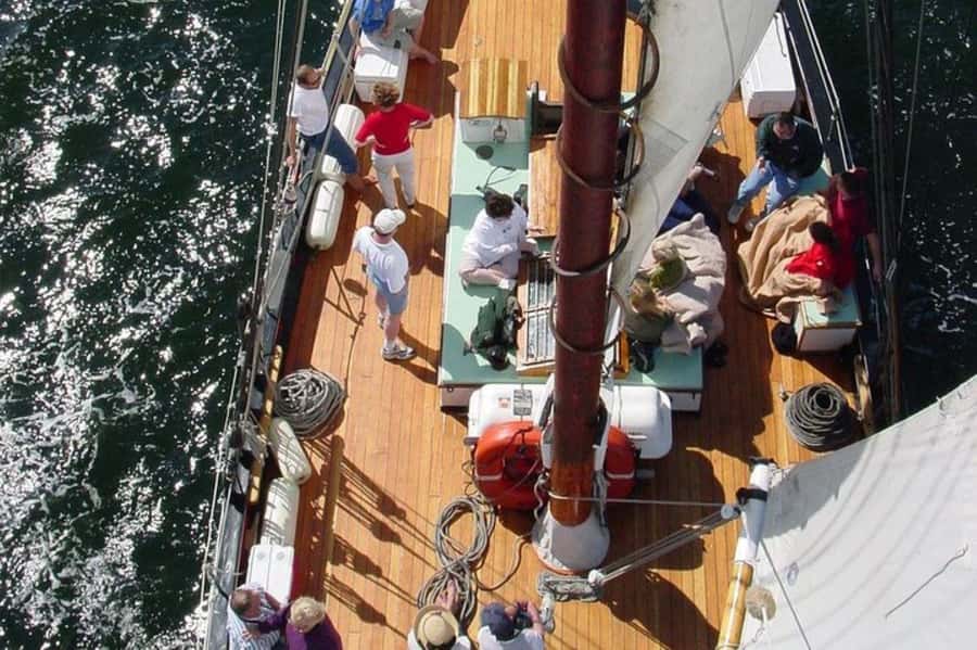 Key West's Schooner Appledore Star Champagne Sunset Sail - Key West Sunset Sail Highlights You’ll Feel