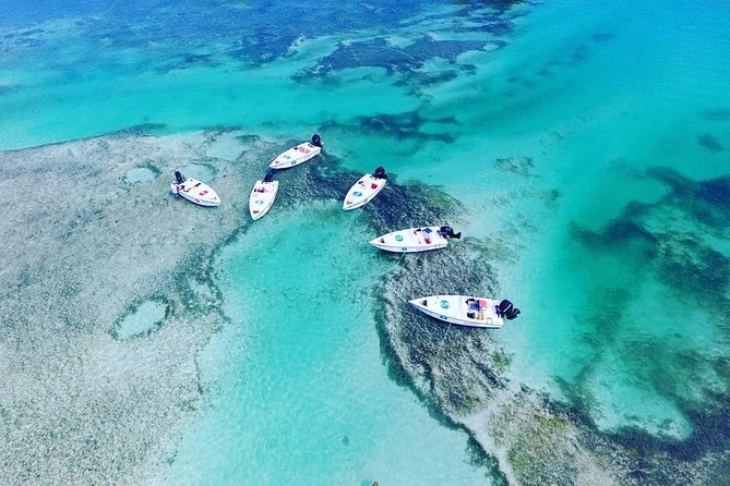 Key West Safari Eco Sandbar Tour Adventure with Snorkeling - Key moments that make this Mud Key snorkeling safari worth your time