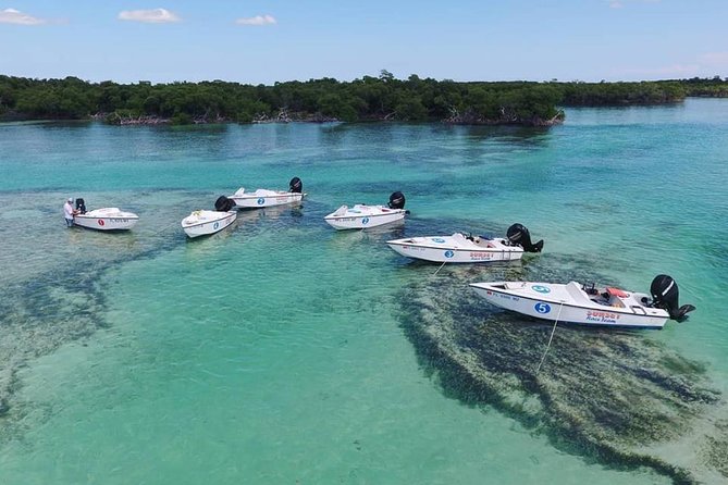 Key West Safari Eco Sandbar Tour Adventure with Snorkeling - Stock Island check-in to takeoff: what timing and rules matter