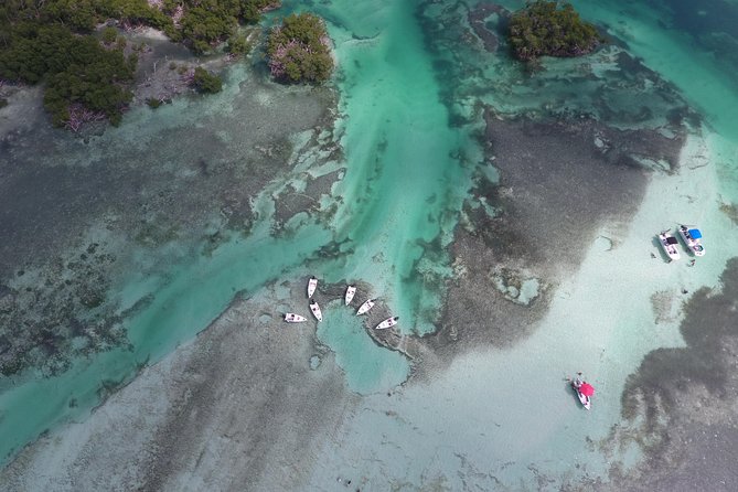Key West Safari Eco Sandbar Tour Adventure with Snorkeling - Mud Key sandbar snorkeling: the best part, with a realism check