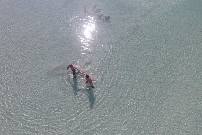 Key West Safari Eco Sandbar Tour Adventure with Snorkeling - Key West and the Cow Key channel moments: short stops with real wildlife potential