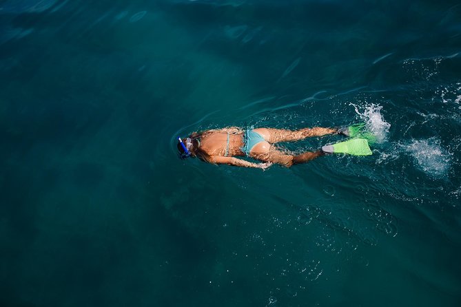 Key West Safari Eco Sandbar Tour Adventure with Snorkeling - How long it really feels: pacing for a 2.5-hour outing