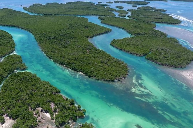 Key West Safari Eco Sandbar Tour Adventure with Snorkeling - Wildlife encounters: what you can hope for without betting your day