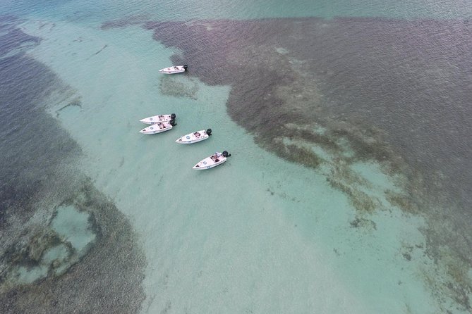 Key West Safari Eco Sandbar Tour Adventure with Snorkeling - Guides, safety coaching, and what it’s like to learn on the fly