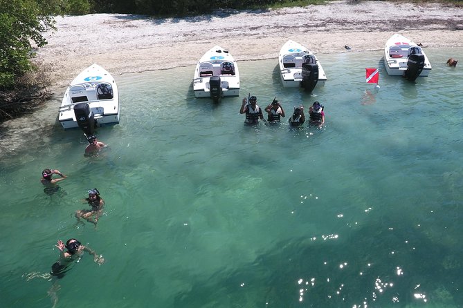 Key West Safari Eco Sandbar Tour Adventure with Snorkeling - Through the Florida Keys National Marine Sanctuary: wildlife watching on purpose