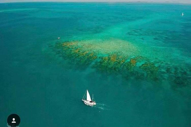 Key West Sailing & Snorkeling: A Reef Adventure - Drinks on Board: Beer, Wine, Mimosas, and Champagne Value