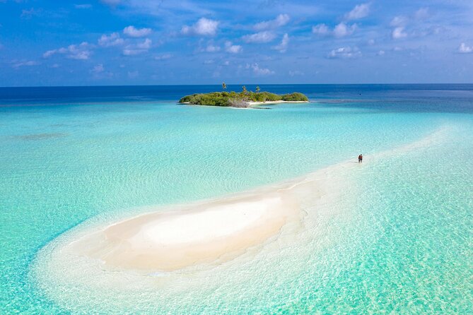 Key West Sandbar Adventure Cruise for All Ages - Entering the Backcountry: Mangrove Channels Before the Party