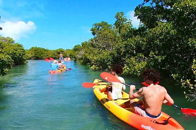 Key West Sandbar Charter With Kayak Tour: Includes Lunch & Drinks - Why this sandbar-and-kayak combo feels different