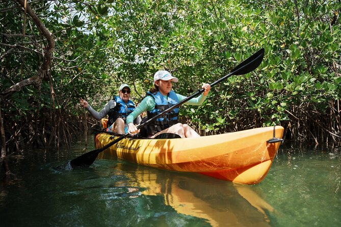 Key West Sandbar Charter With Kayak Tour: Includes Lunch & Drinks - Snorkeling and the Florida Marine Sanctuary: gear included, instruction optional