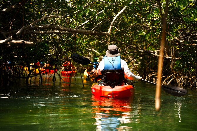 Key West Sandbar Charter With Kayak Tour: Includes Lunch & Drinks - Value check: is $149.95 a smart buy?
