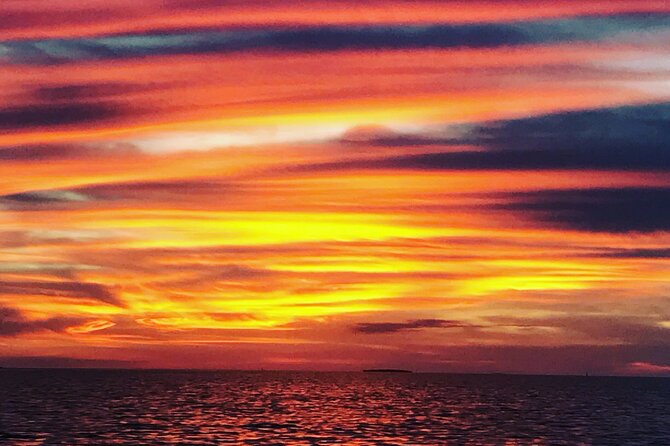 Key west sandbar/eco trip ran by husband and wife naturalist team - Wildlife Spotting: Dolphins, Sea Turtles, Rays, and Sharks