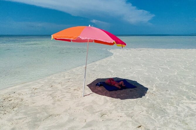 Key west sandbar/eco trip ran by husband and wife naturalist team - Price and Value: Does $220 Make Sense Here?