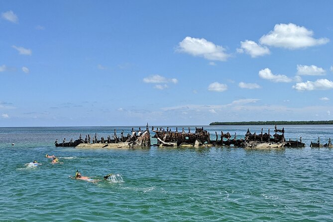 Key West Sandbar Excursion & Island Adventure Cruise - Why This 4-Hour Sandbar Charter Fits a Real Key West Day