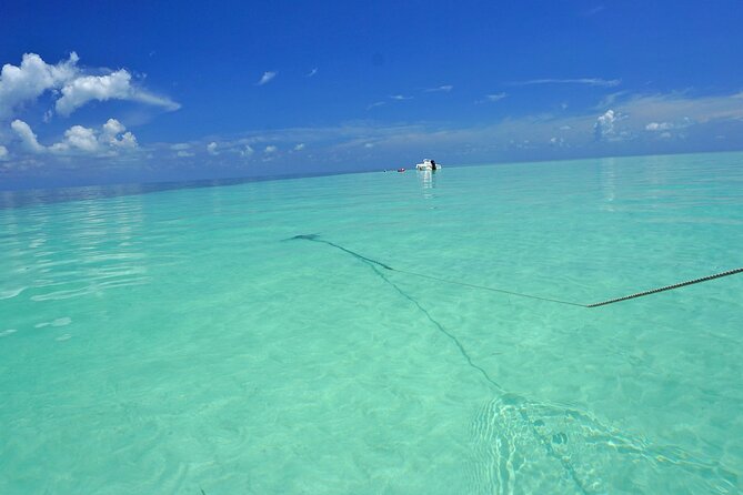 Key West Sandbar Excursion & Island Adventure Cruise - Included Gear and What to Bring (So You Don’t Do Extra Runs)