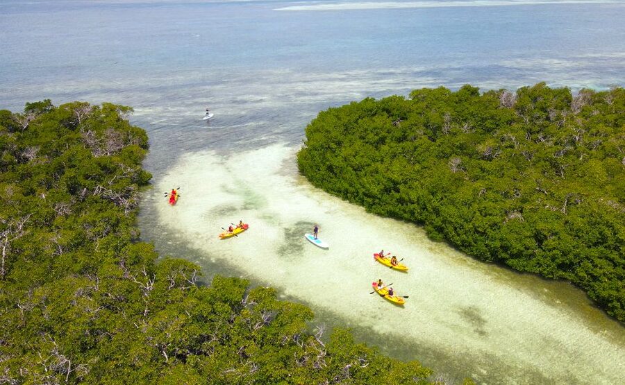 Key West: Sandbar Excursion & Kayak Tour with Lunch & Drinks - Lunch, Unlimited Drinks, and Sandbar Free Time