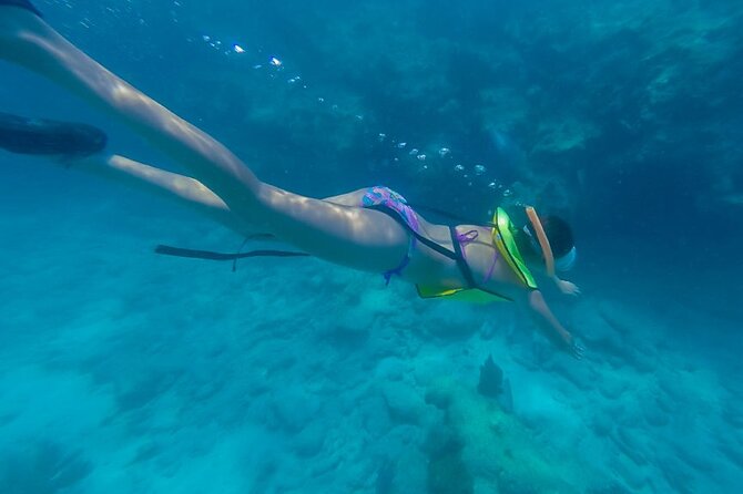 Key West Schooner Backcountry Eco Tour Sail Snorkel and Kayak - Key West Schooner Backcountry Eco Tour: quick hits