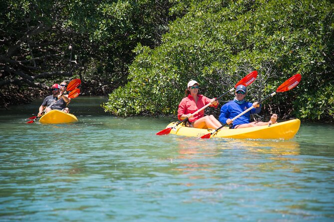 Key West Schooner Backcountry Eco Tour Sail Snorkel and Kayak - Value: why the included extras matter on a 5-hour day