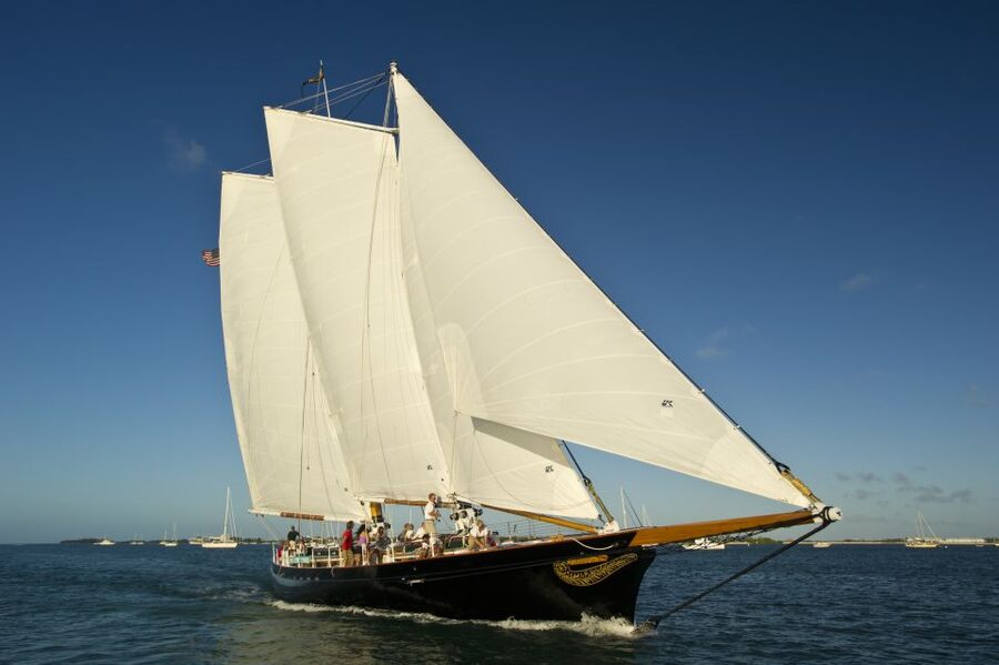 Key West: Schooner Day Sail with Onboard Bar - Wildlife Watching on the Water: dolphins, sea turtles, and water birds