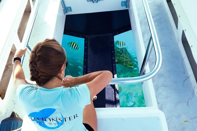Key West: Snorkel, Sandbar & Dolphin Excursion - Why this feels like a true private Key West experience